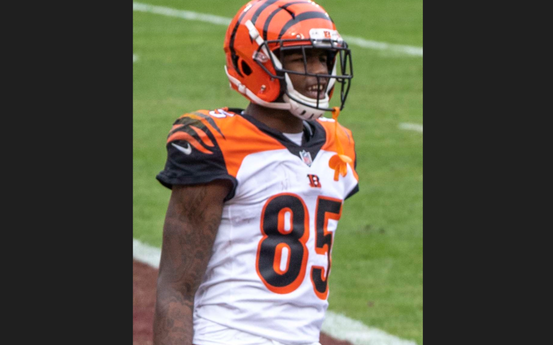 The Bengals Soon to be Star: Tee Higgins